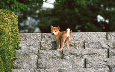ETH钱包苹果版